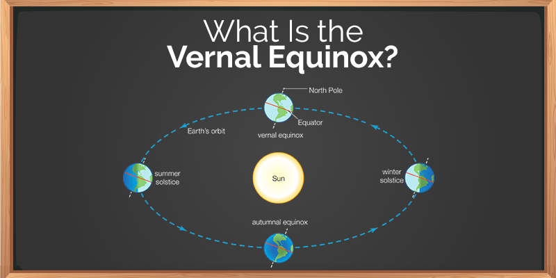 Vernal Equinox - Robomate Plus