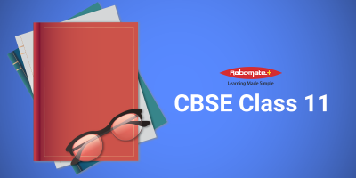 CBSE Class 11 - Robomate+